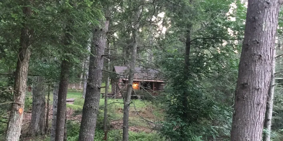 Cabin Trip